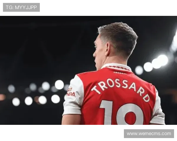 阿森纳防线稳如铜墙开季十场仅失三球刷新队史最佳防守纪录 阿森纳防线稳如铜墙开季十场仅失三球刷新队史最佳防守纪录